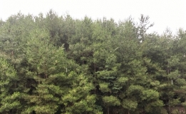 大垭口的雨天，完全没有夏天的感觉啊！
