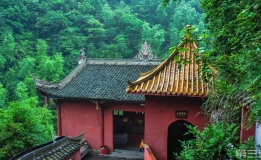旅行美景：评为“中国寿竹之乡”的重庆梁平百里竹海！